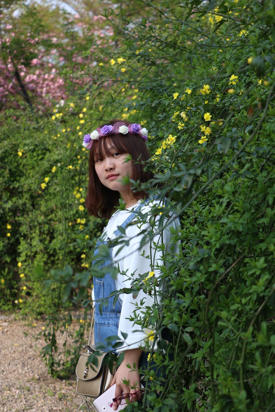 樱花 第 8 张