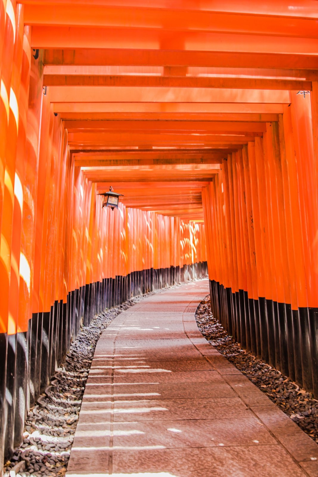 京都 第 9 张