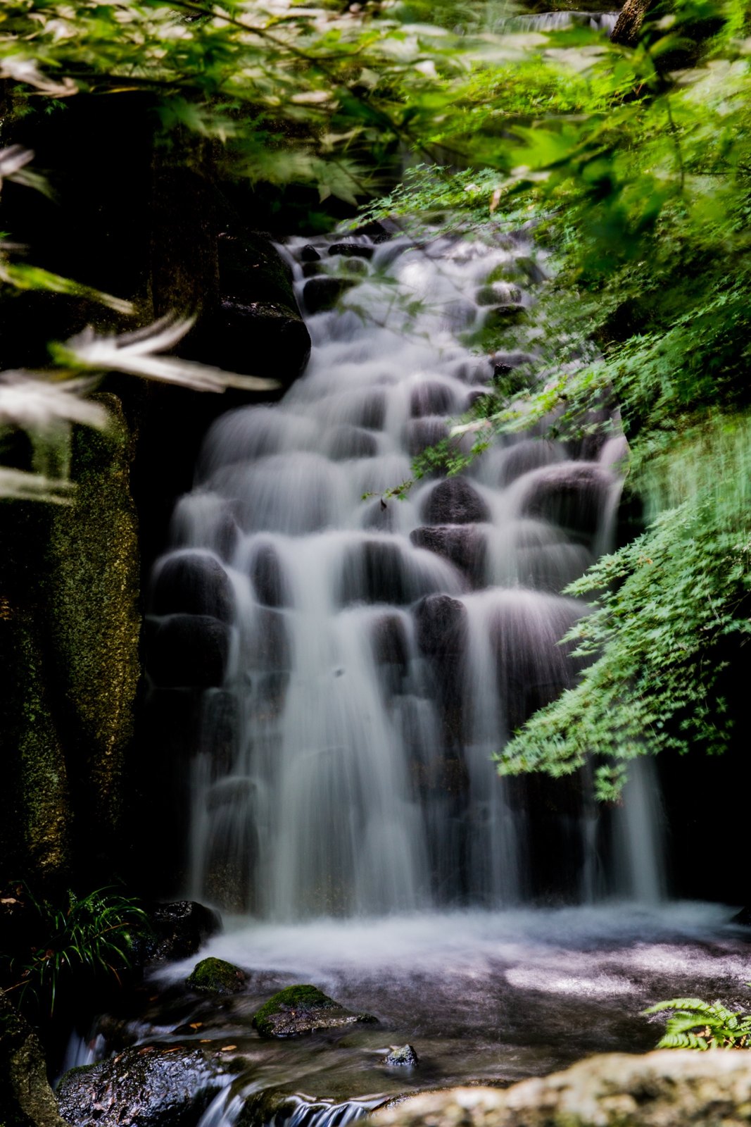 名古屋、东京 第 7 张