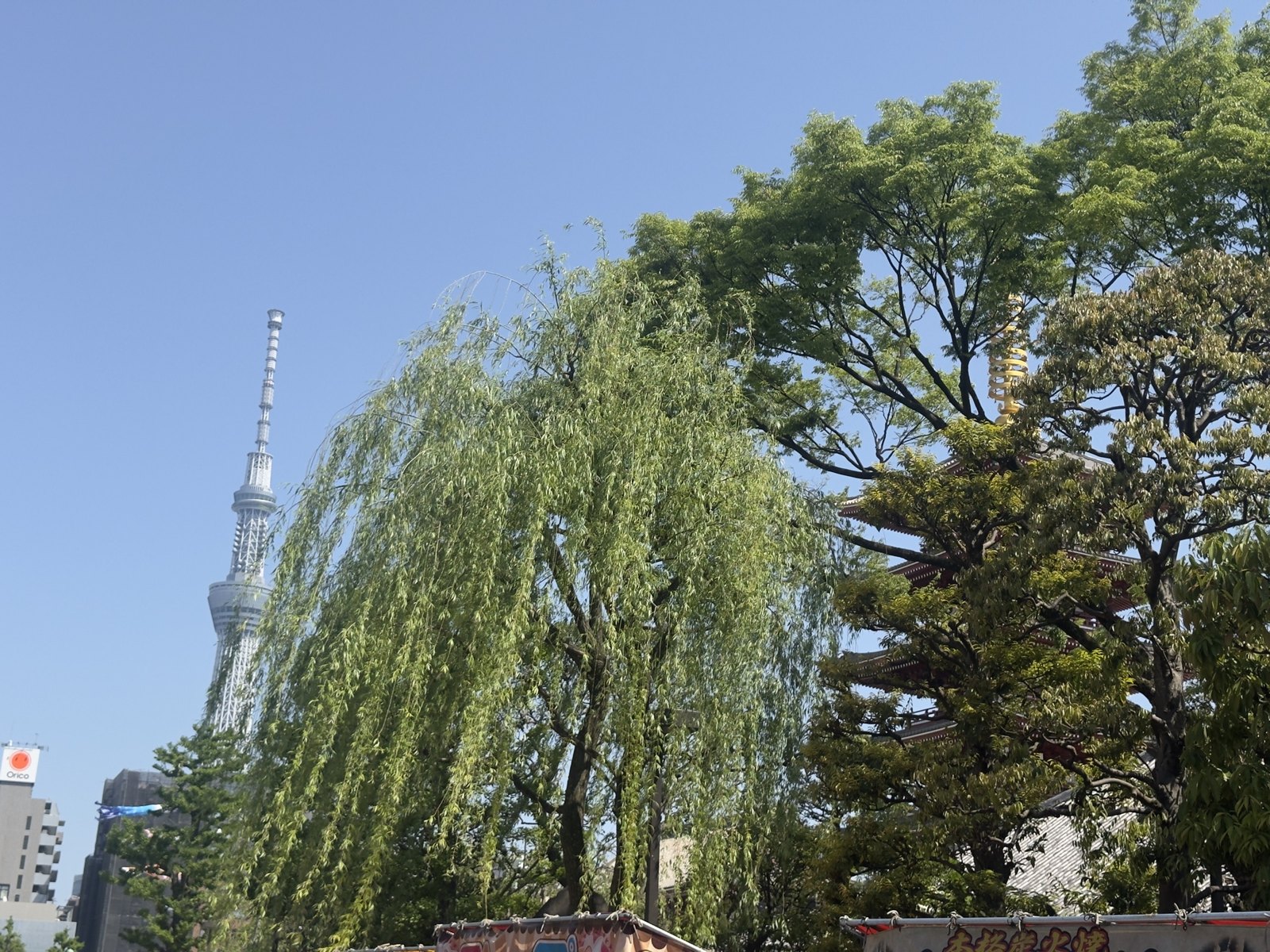 浅草寺 第 5 张