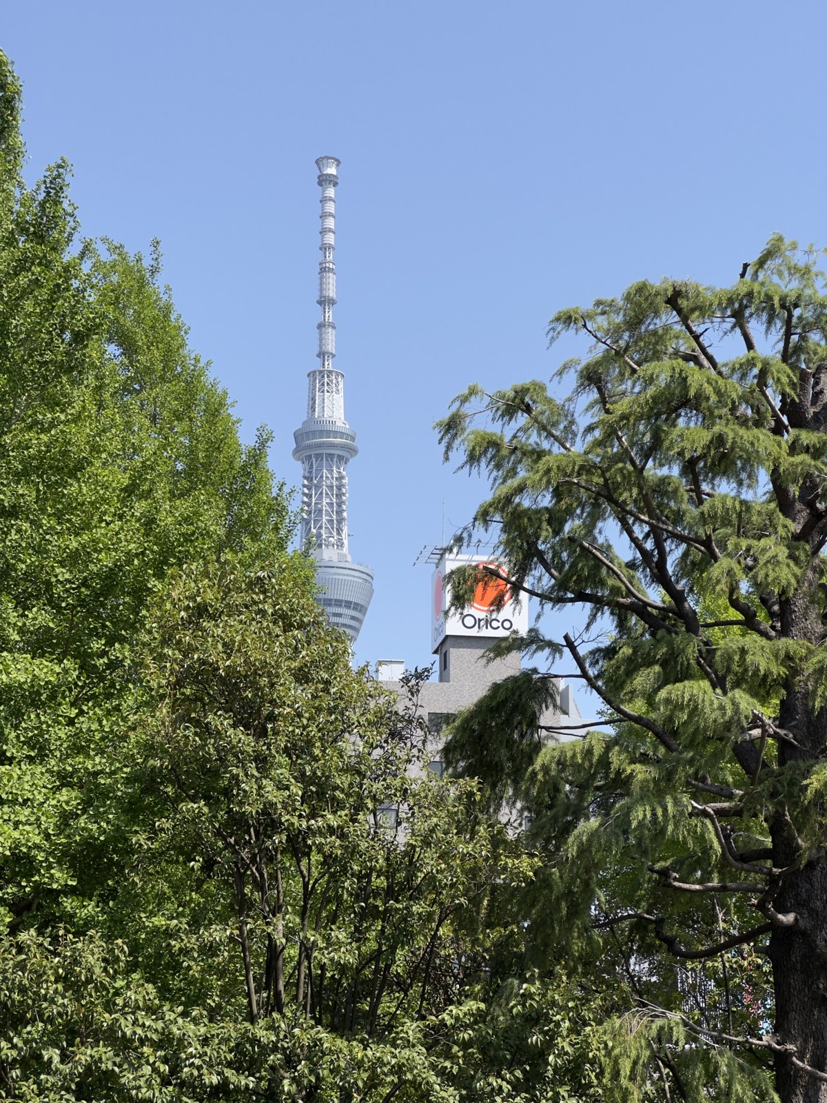 浅草寺 第 3 张
