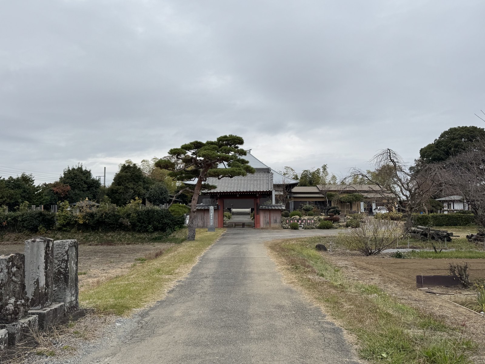 春日部游 第 2 张