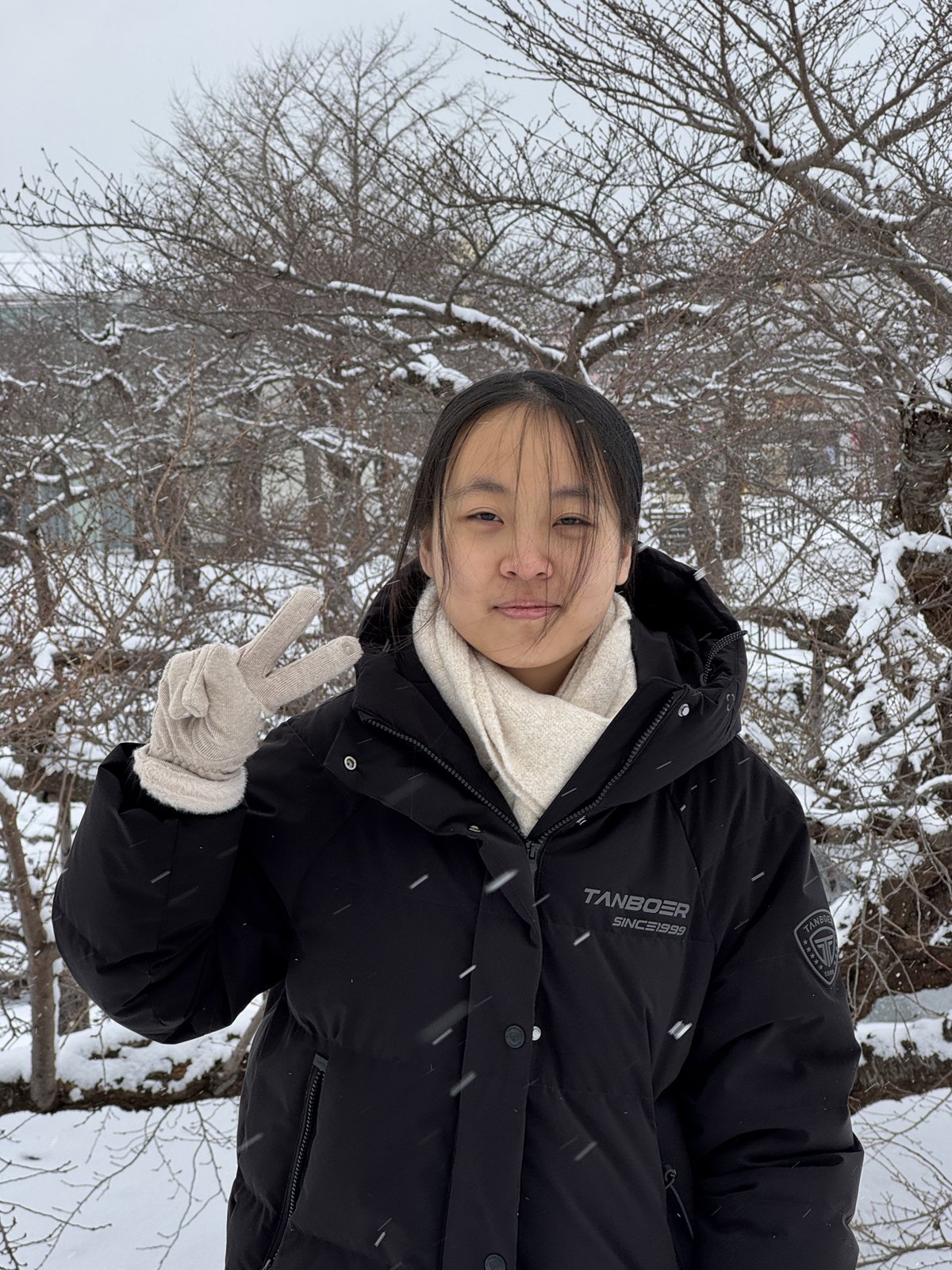 北海道雪景 第 10 张