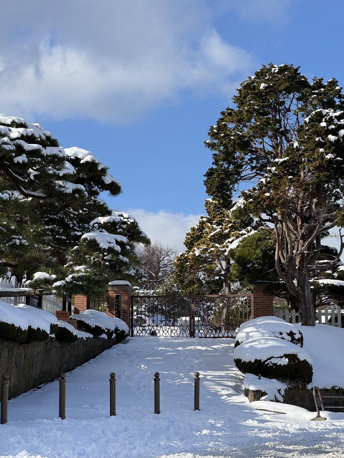 北海道雪景 第 8 张