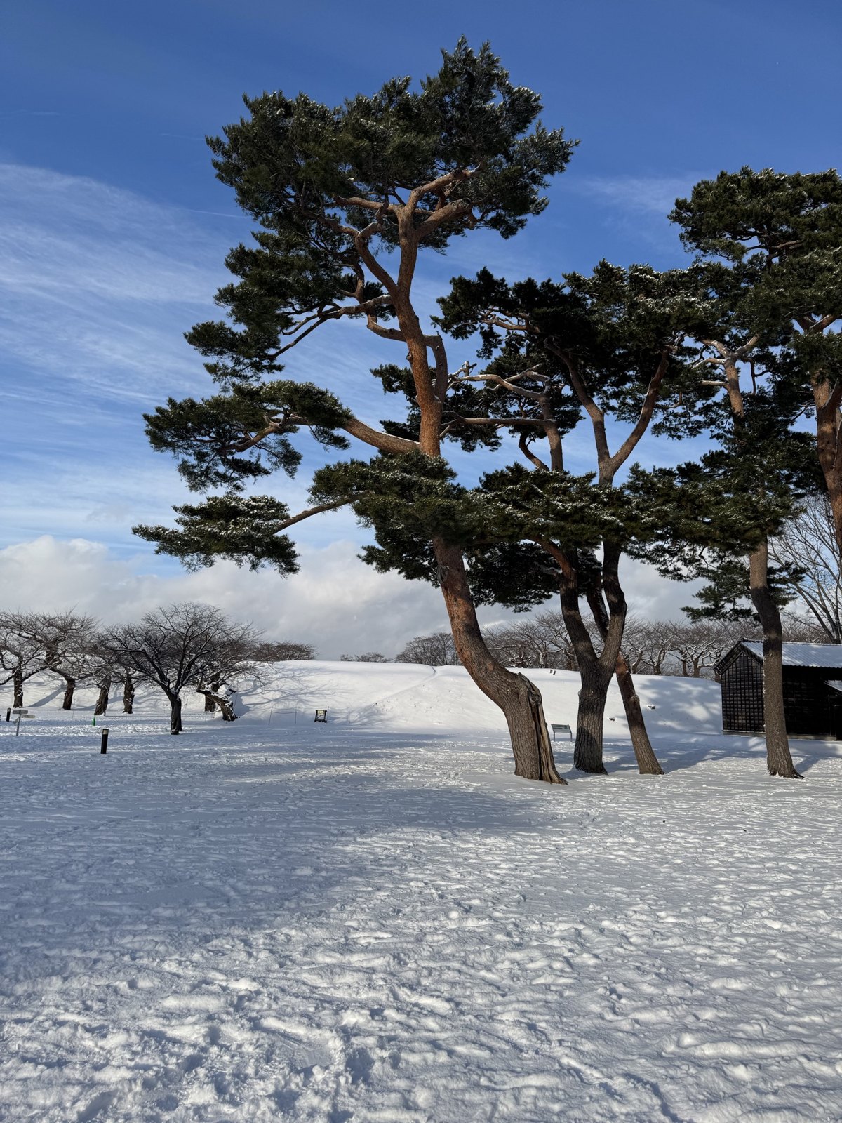 北海道雪景 第 4 张