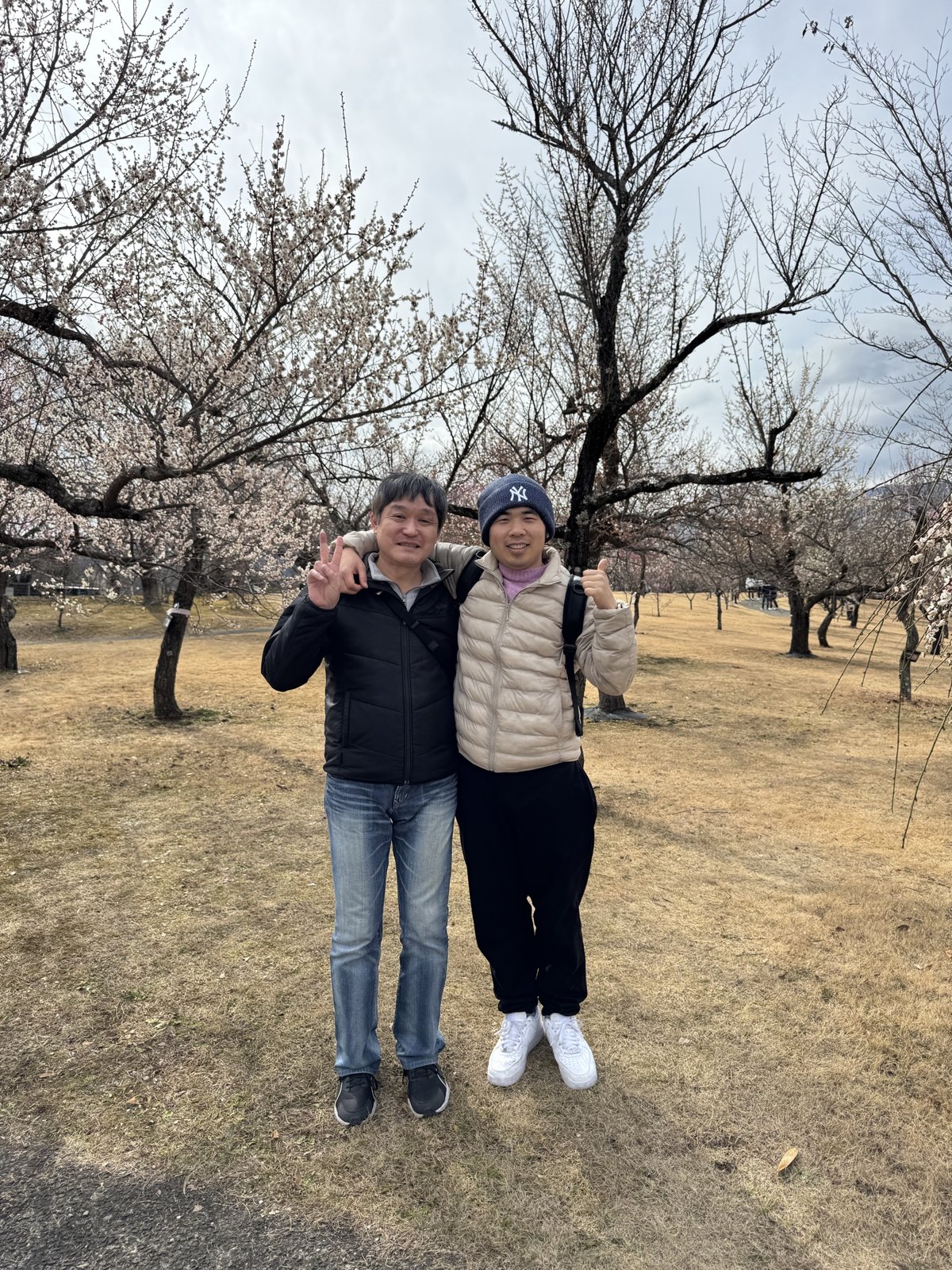 赏梅 第 9 张