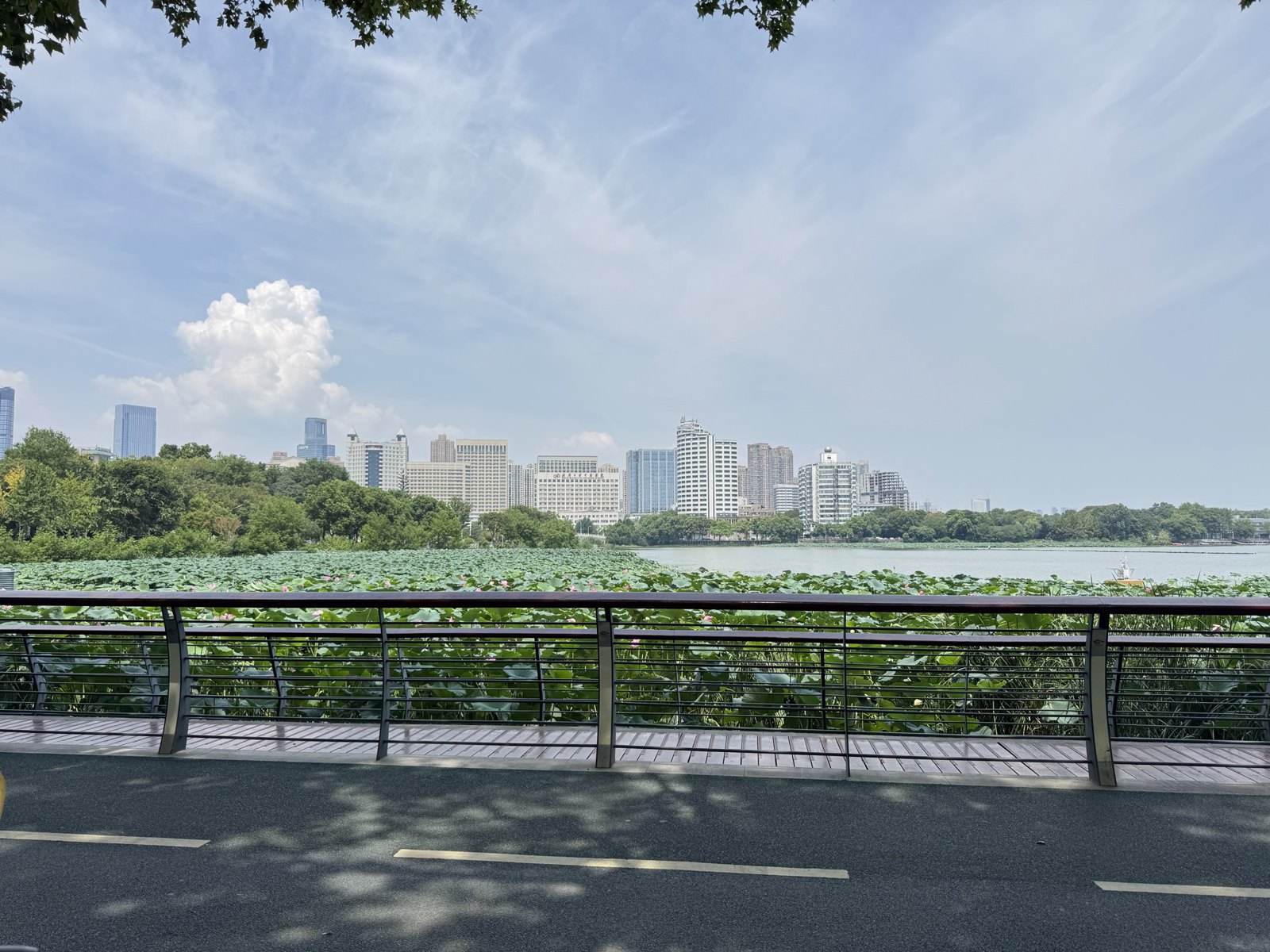 湖北 第 3 张