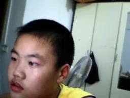 公开的