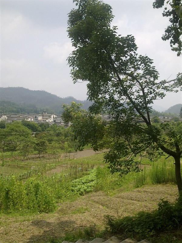西递宏村 第 4 张