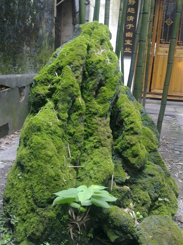 西递宏村 第 6 张