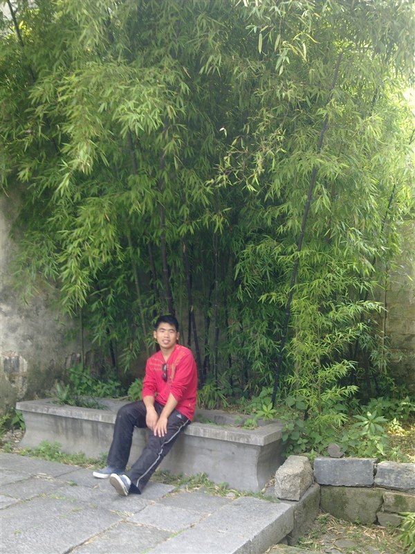 西递宏村 第 101 张