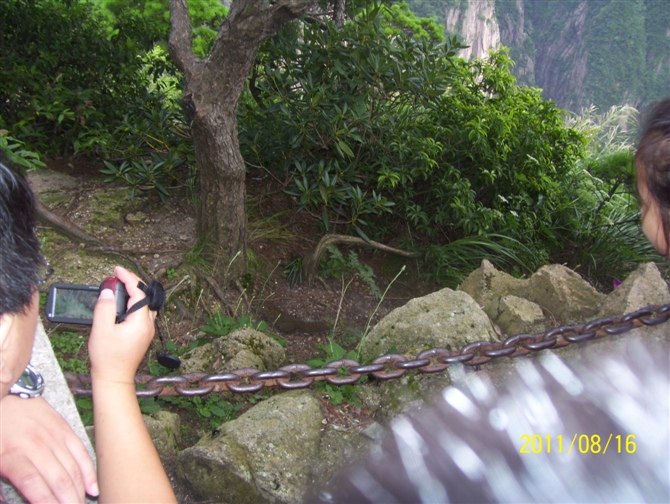 黄山之旅 第 13 张