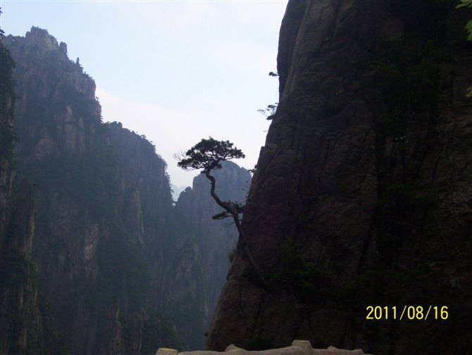 黄山之旅 第 15 张