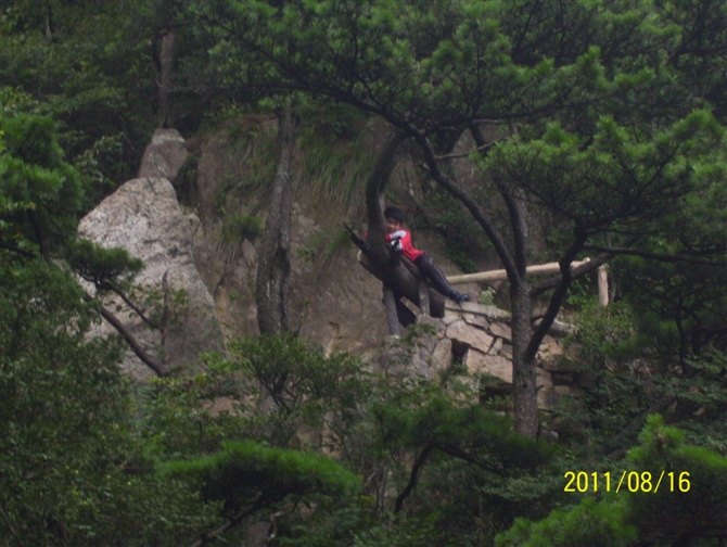 黄山之旅 第 16 张