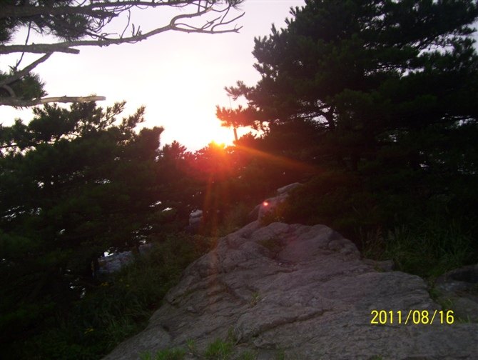 黄山之旅 第 24 张