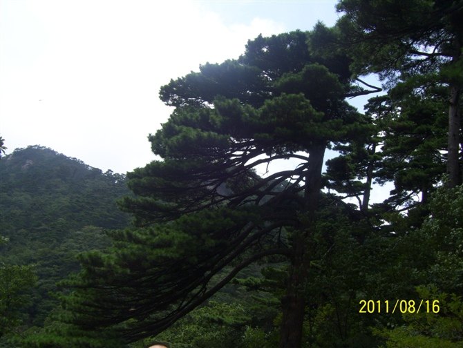 黄山之旅 第 34 张