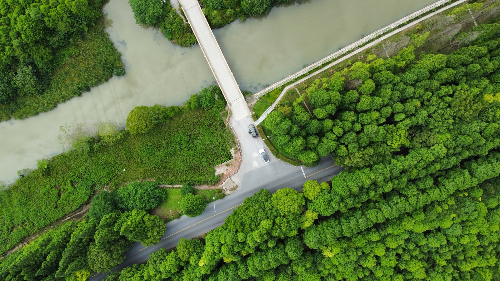 林间的路 · 2022.06
