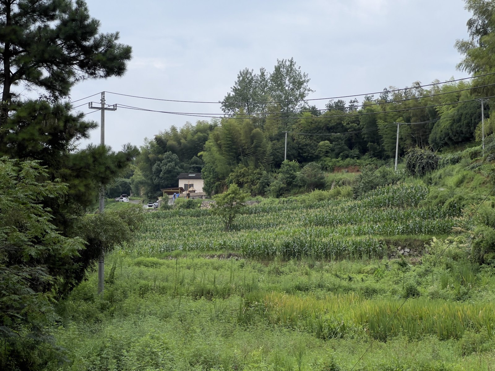 山间田园 第 4 张