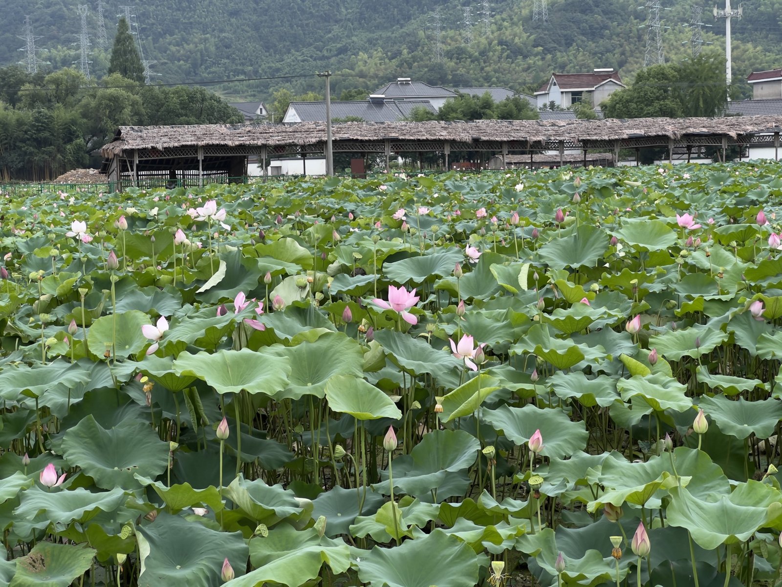 山间田园 第 8 张